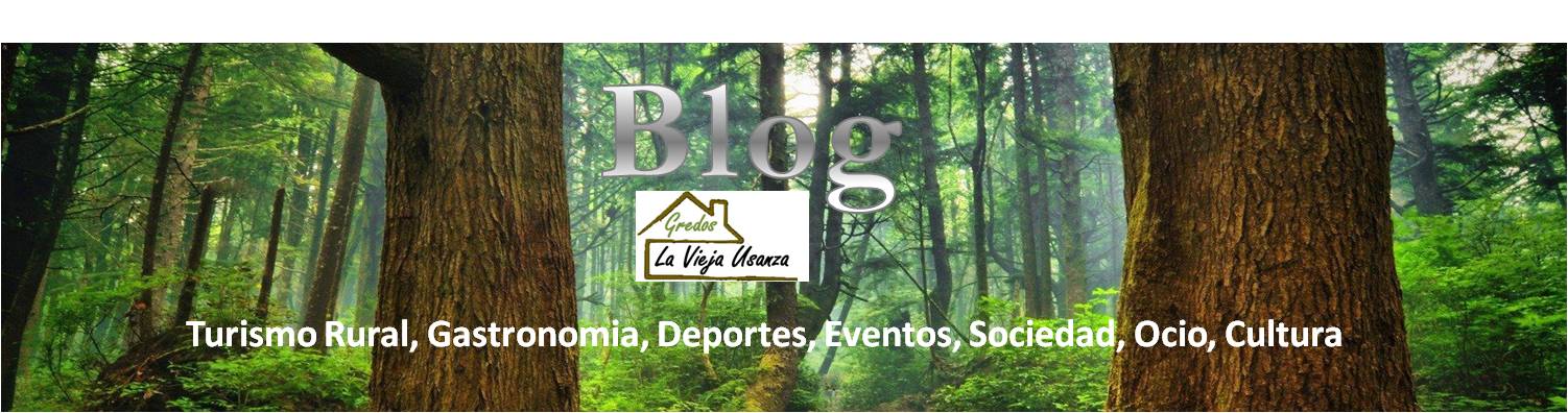 Blog casa rural Gredos Avila Laviejausanza Hoyos del Espino Hoyocasero 1